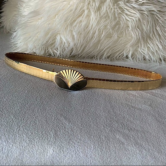 Accessories - Amazing Statement Gold Waist Belt with Silver Fan Buckle